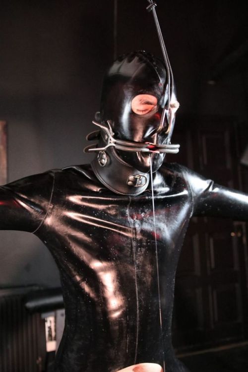 pup-sky: Just another fine mess I got myself into :D 