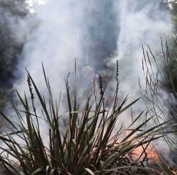Le feu dans les paysages, vu à travers les dynamiques des pyrophytes et le « jardinage » des forêts peri-urbaines. Vendredi à la fondation Benetton à Trévise. @vmure #jardindesméditerranées #rayolcanadel #fondazionebenetton #feu #jardin #garden #fire #pyrophyte (à Fondazione Benetton Studi Ricerche)https://www.instagram.com/p/Co9SCNusxi9/?igshid=NGJjMDIxMWI=