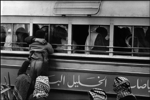 iblost - diaspora - A Palestinian father kisses his young son...