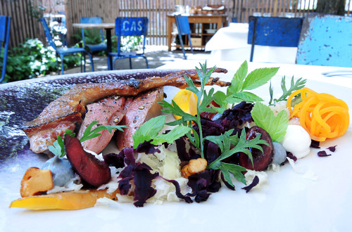 Sneak Peek! Neuer Hauptgang im Dinnermenü…
Französische Taube an Pilzen, Pfefferkirschen und Karottenpüree.