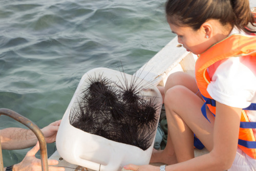 Spear Fishing off the Coast of VietnamLocation: Phu Quoc, VietnamThere are a few activities in this 