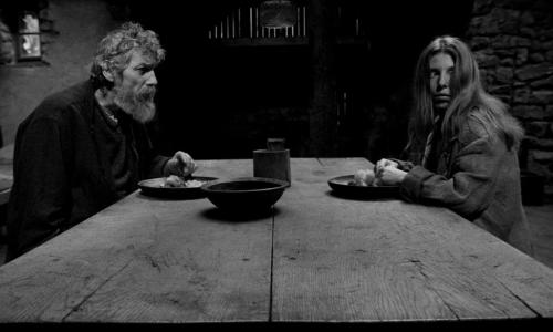 artfilmfan:  The Turin Horse (Béla Tarr, 2011) “Theirs is the moment… nature, infinite silence.” 