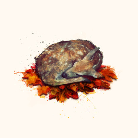 lohrien:  Illustrations by Amy Hamilton