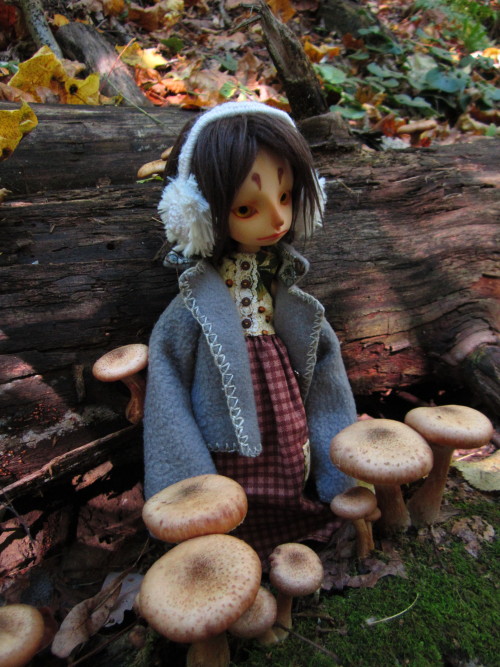 Toadstool