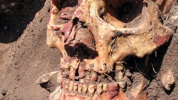 Bronze Age bubonic plague wasn’t spread by fleas