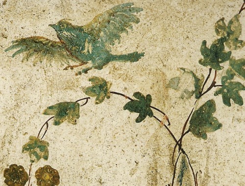 aucelo: Roman fresco. Pompeii, Casa del Bracciale d'Oro 