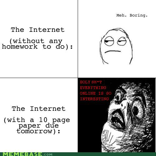 tirrellhersh:  follow for more sayings  internet got your attention now