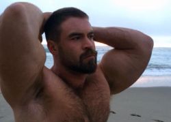 daddyandcubby:  musclemountainlion:  Such a rare find 🙊  All beaches should come equipped with this