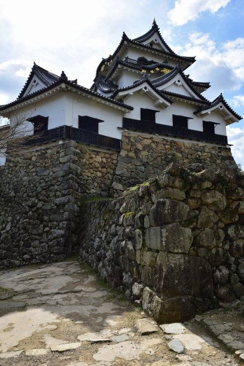 norisunorin:  滋賀県　彦根城 Shiga Hikone Castle