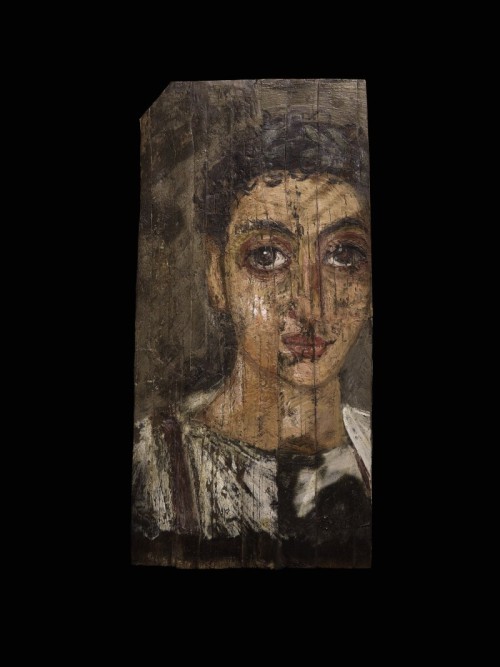 An Egyptian Encaustic on Wood Mummy Portrait of a YouthCirca late 1st Century A.D.Wearing a white tu