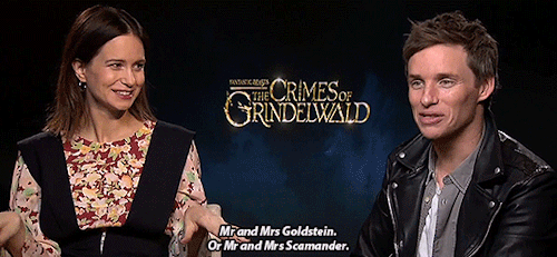 inconspicuously-me: Mr and Mrs Goldstein-Scamander everyone  Qn: If there was a battle between your 