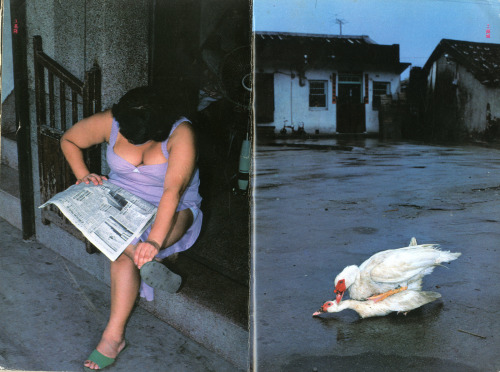 shihlun: Shomei Tomatsu, Taiwan, 1982. 東松照明 - 台湾紀行 (カメラ毎日 1982, 12.) 