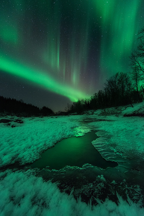 vicariousplacebo:  3 Years by Arild_Heitmann 