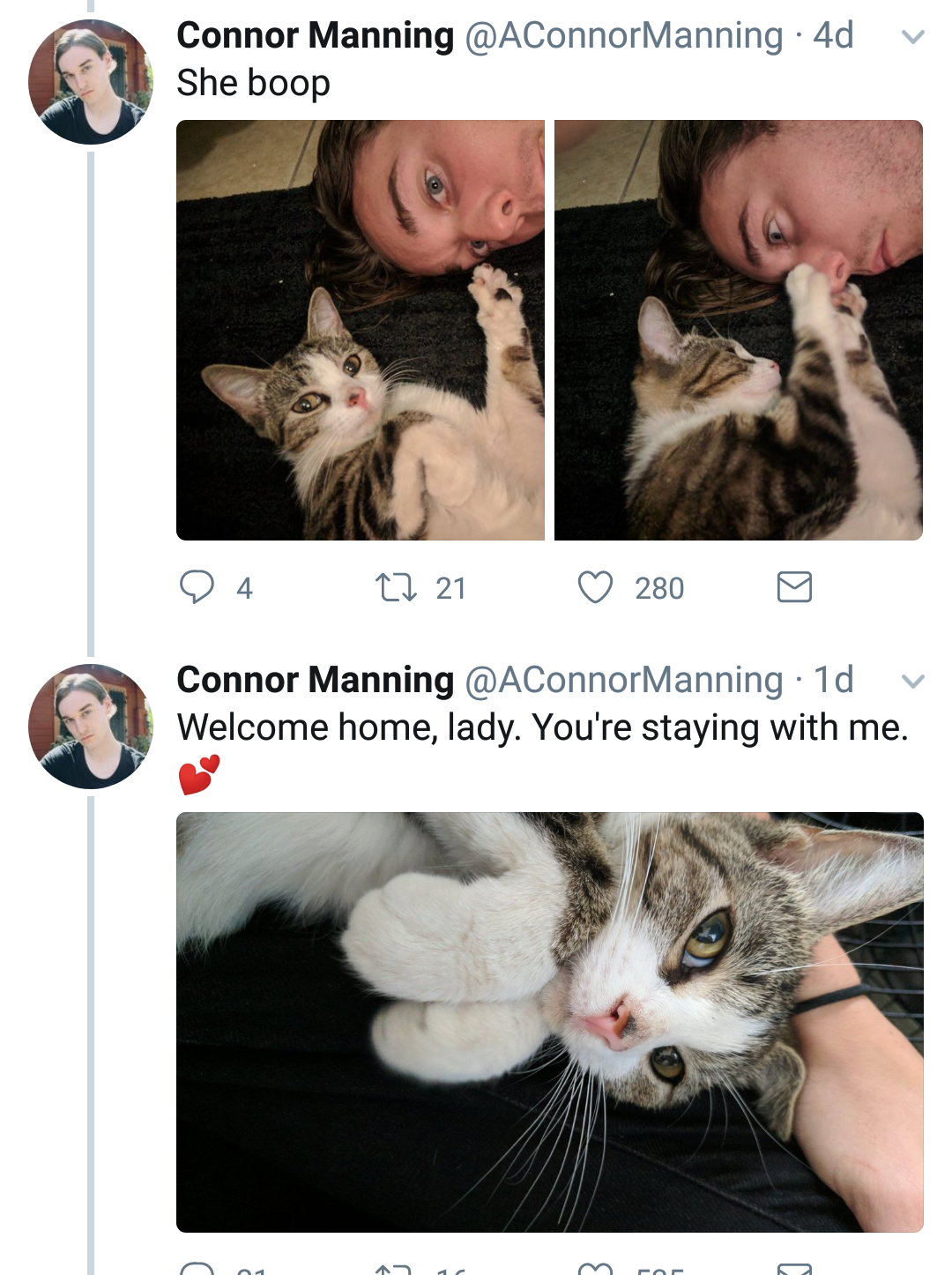 falling-towards-the-skyy: naamahdarling:  aconnormanning: so i have a cat now I am