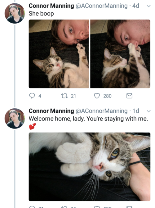 aconnormanning:so i have a cat nowsan lang is that you? ｡◕‿◕｡