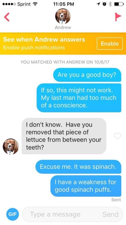 ehsmallishbear:  My adventures on Tinder were short-lived but memorable.