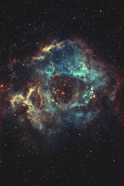 wavemotions:  Rosette Nebula “Narrow Band”