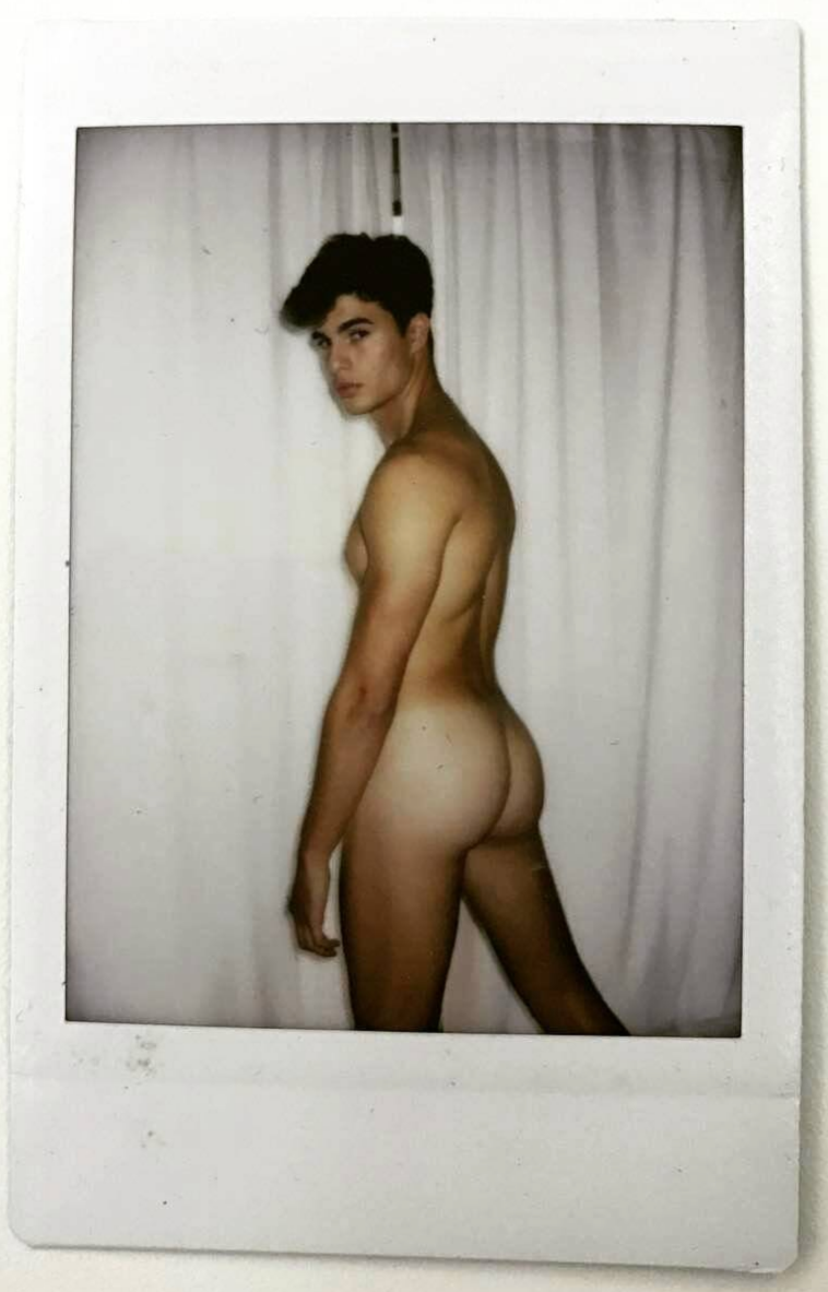 The Gay Satyr