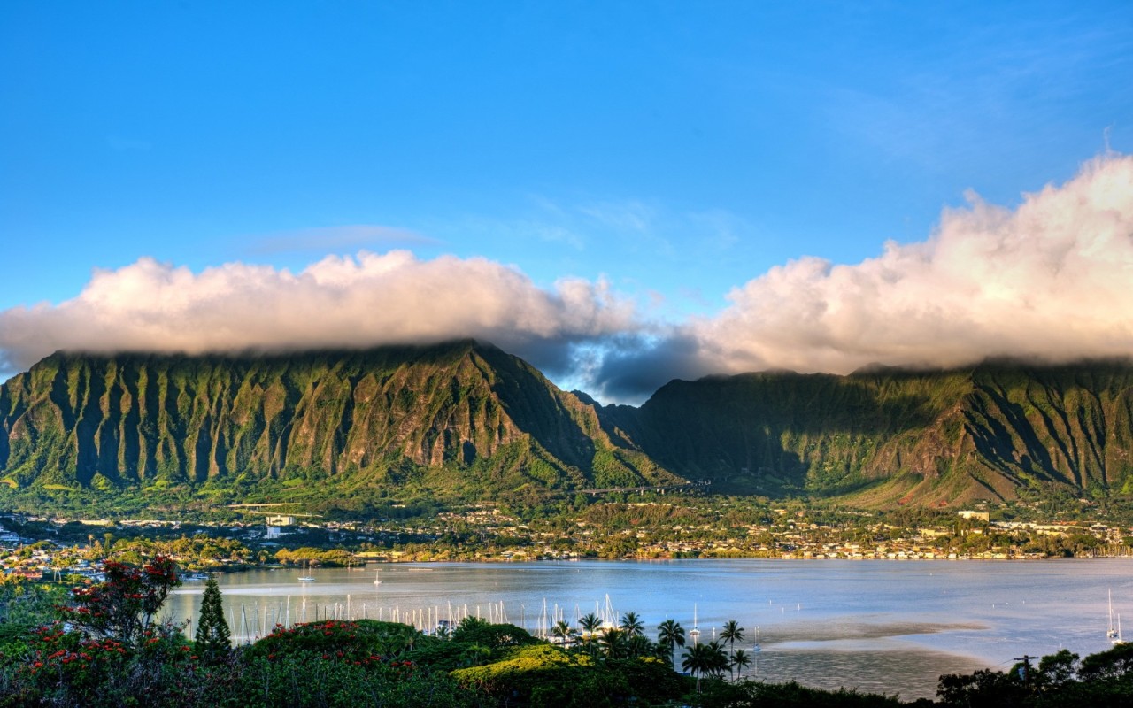ALOHA