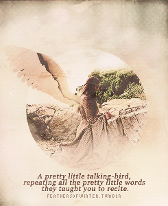 meggiecleary-deactivated2015012:  There are different kinds of wings, the crow said…