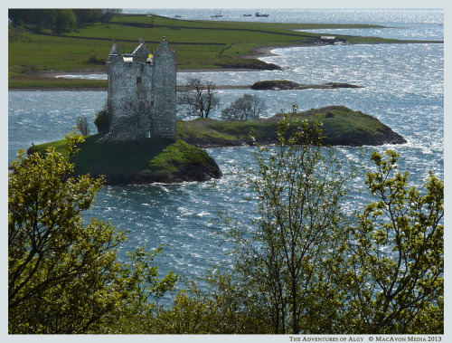 adventuresofalgy:Today Algy is celebrating the fact that the Castle Stalker View Gift Shop and Coffe