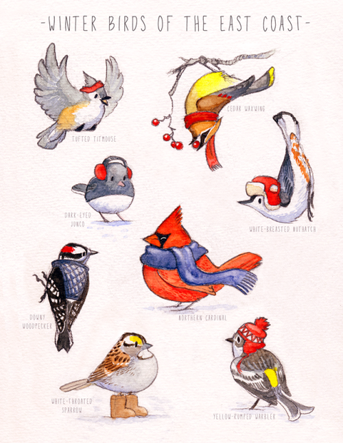 sosuperawesome:Virginia Greene, on Tumblr and Society6• So Super Awesome is also on Facebook, Twitte