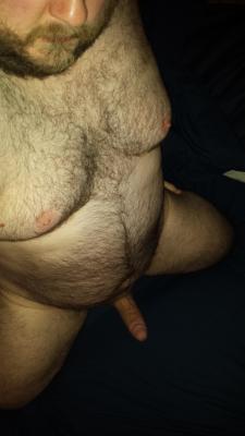 Bear Bulge