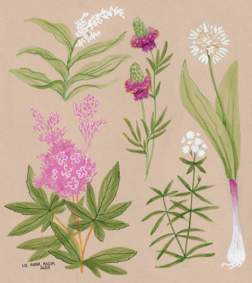 an assortment of plants on a tan background, predominately soft greens with hits of bright pink and purple