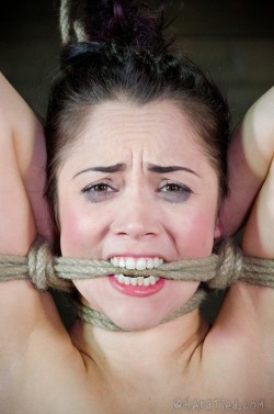 bondage-post:  Ropes Tied up & tormented    