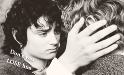 lotr meme - six bro/otp’s (1/6) ↬ Frodo and Sam“I love him. He’s like that, and sometimes it s