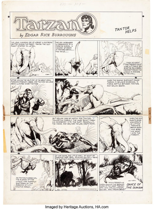 “Tantor helps.”Original Ruben Moreira (Rubimor) art for the 3-17-46 Tarzan Sunday strip (#784: Unite