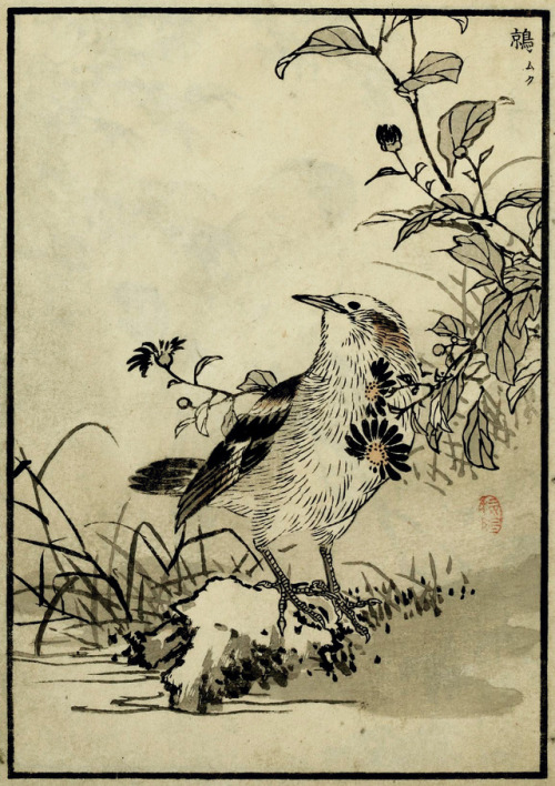 Kōno Bairei (1844-1895), “Bairei hyakucho gafu”. Vol. 3, 1881Source