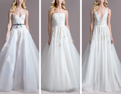 Allison Webb Fall 2019 Bridal Collection