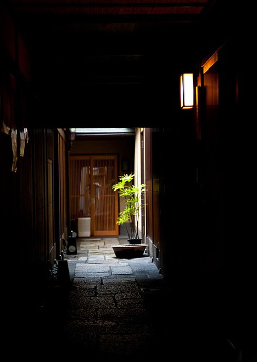 Alley Walking in Japan / Tokyo Pic