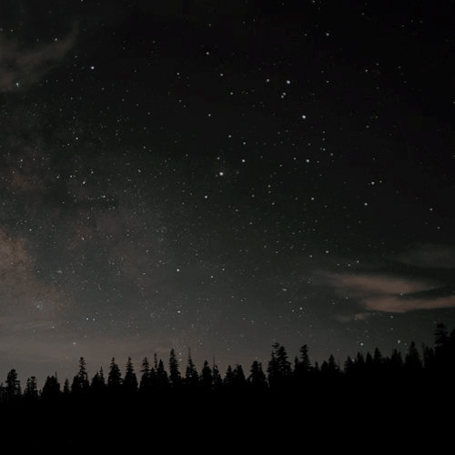 calliophies: Creature: woodland elf &amp; starry sky “The stars tell me to shine. The worl