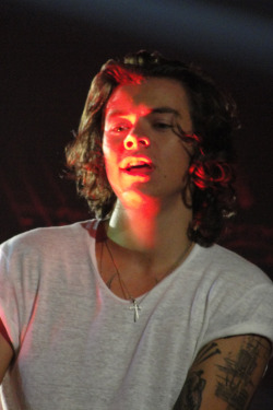 polymer:  onedhqcentral-blog: One Direction, Where We Are Tour, St. Louis (27.08.2014) - (credits)   I love him so much it hurts