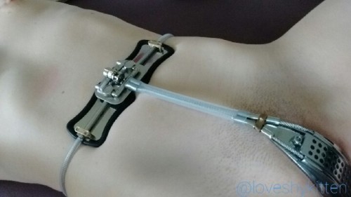 loveshykitten: So here it is. I love my new belt. Love how it feels and how comfortable it is. Right