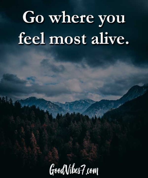  Go where you feel most alive 