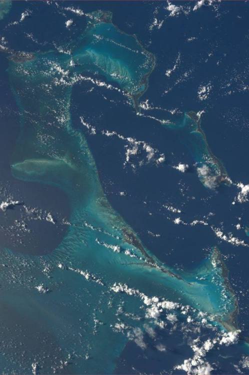 The Bahamas from space.This group of 700 atolls and keys in the Atlantic are the tips of great banks