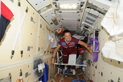 ISS041-E-037528 (27 Sept. 2014) — Russian cosmonaut Elena Serova, Expedition 41 flight enginee