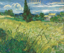 artsyishfartsyish:  Green Wheat Field with Cypress by Vincent Van Gogh (1889) 