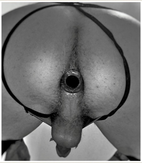 #buttplug #dildo #panties porn pictures