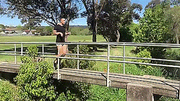 tastefullyoffensive:  When your best friend is a baby kangaroo. [video]