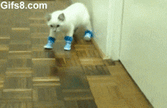 funny-gifs-videos:  Subscribe For Funny Vineshttp://www.youtube.com/vineofweek/