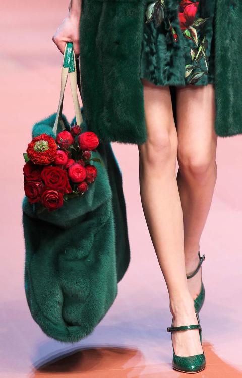 Sex money-in-veins:  Dolce & Gabbana FW 2015 pictures