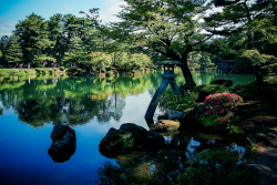 ochabang:  north garden in summer 1 by torne (where’s my lens cap?) on Flickr.