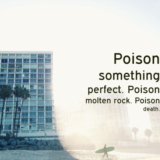 vampire-veins:  hewten:  fatal-blow:  scarvenrot:  jabberwockyx:  queenofbaws:  scarecrow-hero:  rosecolorcd:  inverts:  monkeysky:  itsbenedict:  collapsedsquid:  bunjywunjy:  someone created a random generator that creates randomized inspirational