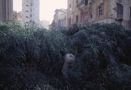 razorshapes:  Abbas “Lebanon. Beirut. The Green Line demarcation zone between Christian East and Muslim West Beirut during the civil war. 1982.” 