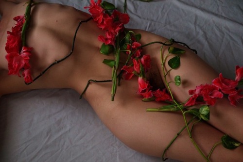 brookelynne:  gladiolus | self-portrait•✧{ more on patreon }✧•