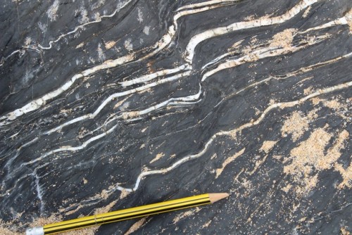 i-paperslut-fotografia:Fine shale with quartz veins and sigmoids.Grauvaques com veios de quartzo e s